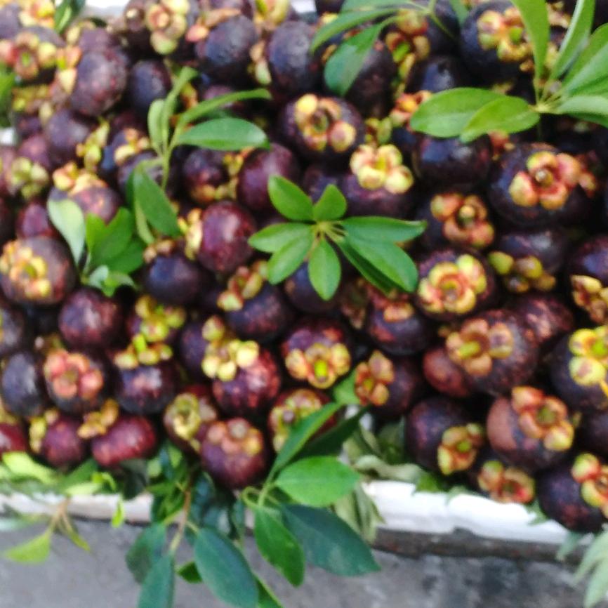 生下来～活下去