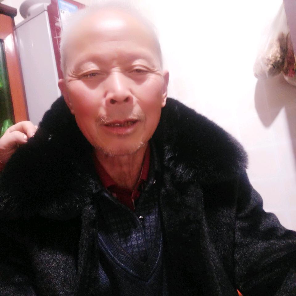 陈心陈意