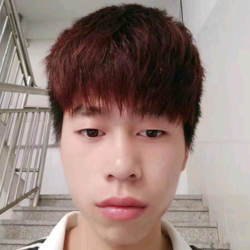 养龟