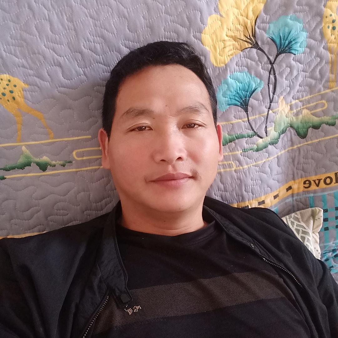 楊哥