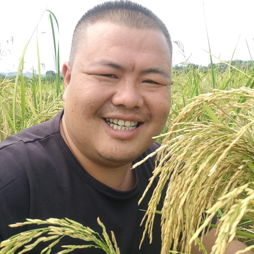 奇子哥