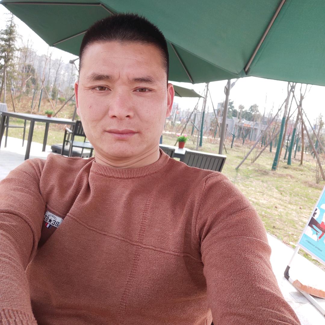 卡车🚚豫S张涛