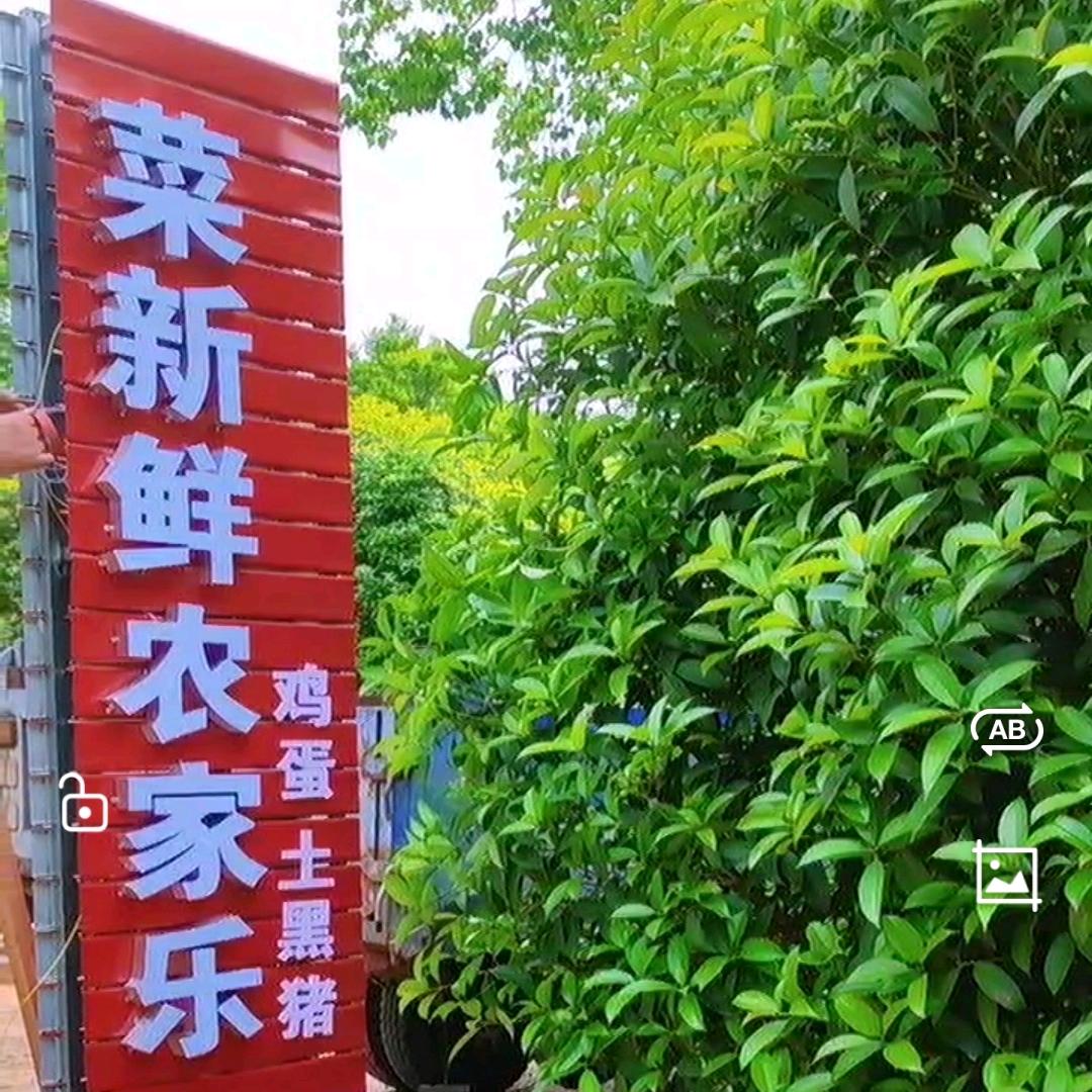 文轩奶奶