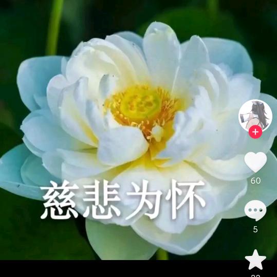 忠芬