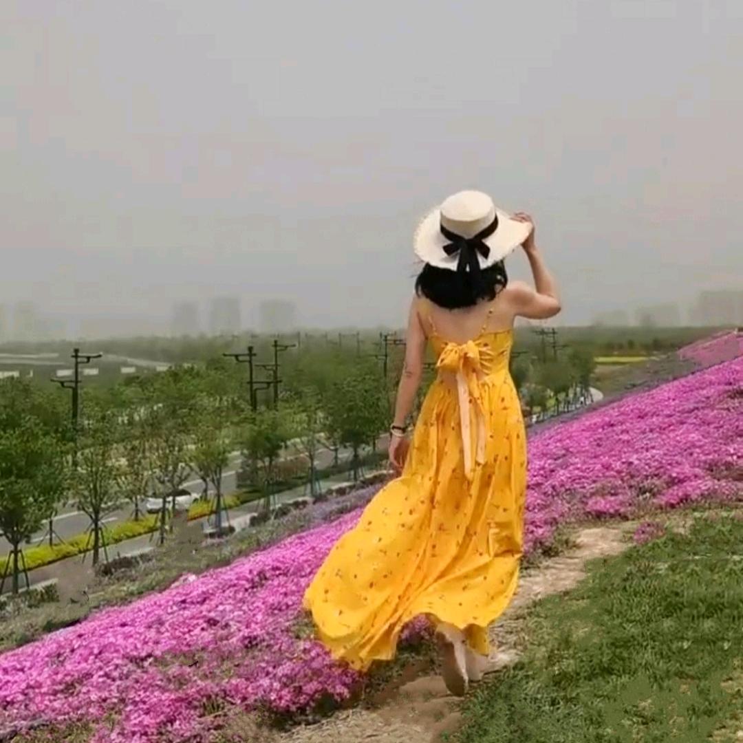 长路远兮
