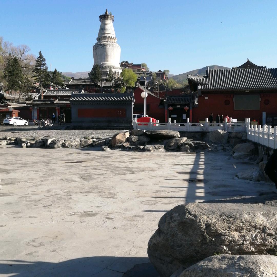 策马奔腾62521652