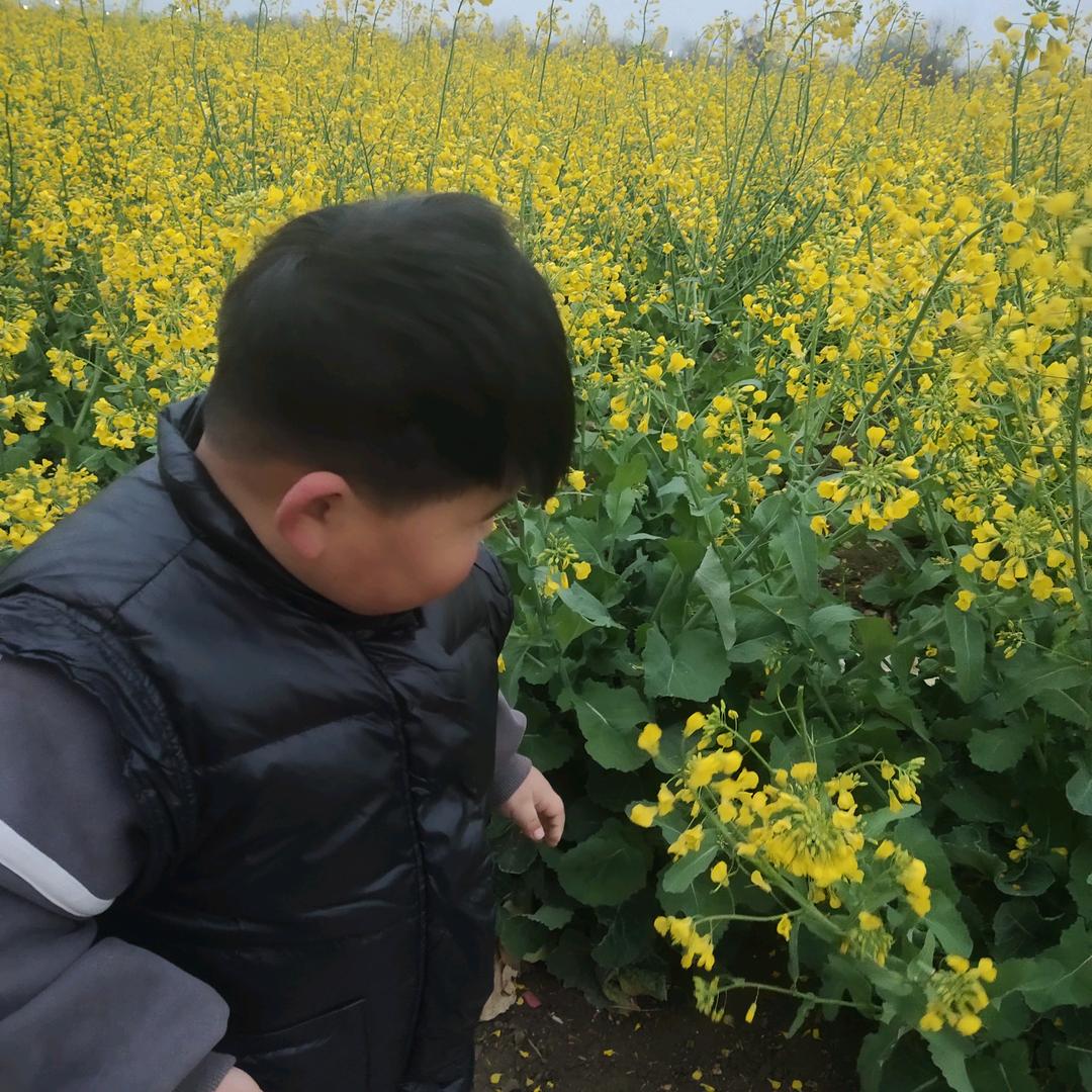 梅梅