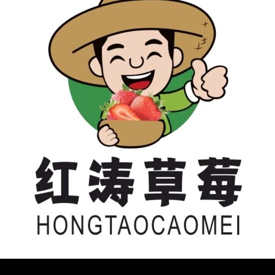 涛