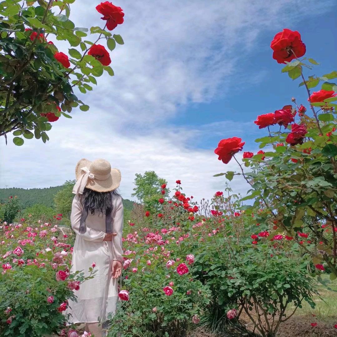 无法跨越的尘埃