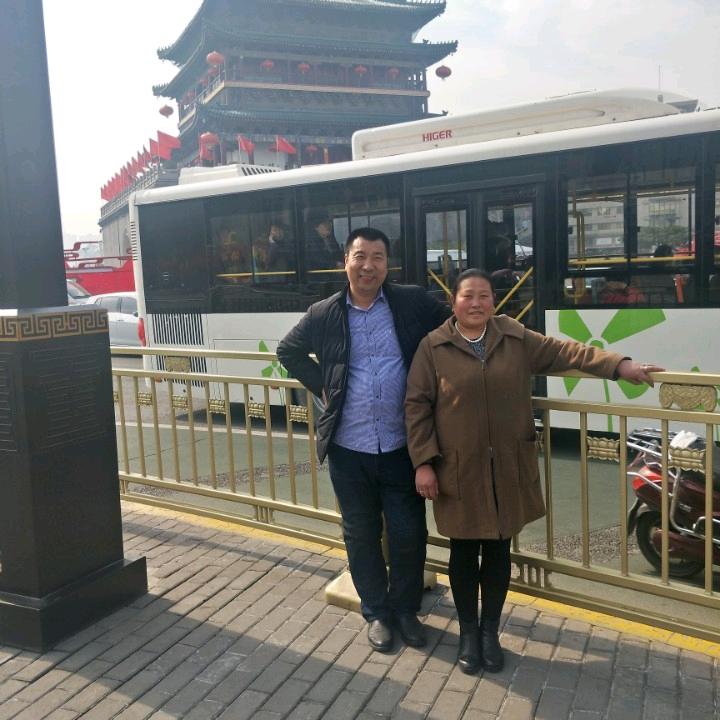 一支梅