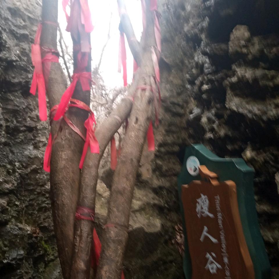 祥贵涵瑞