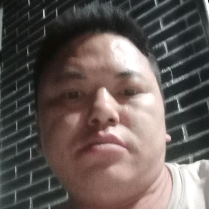 陶利哥