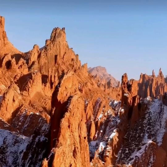 一颗叫菩提本无的树