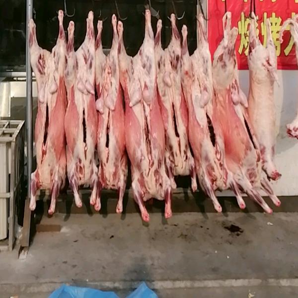 德恒洲'牛羊肉'