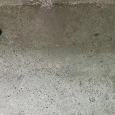 韩翼草星
