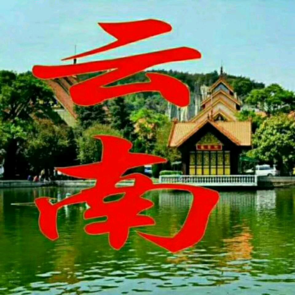 展翅飞翔