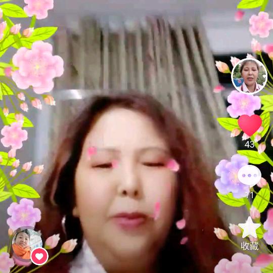 红梅花开