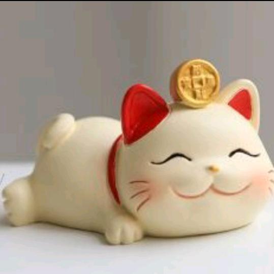 （＾ｖ＾） 天天向上