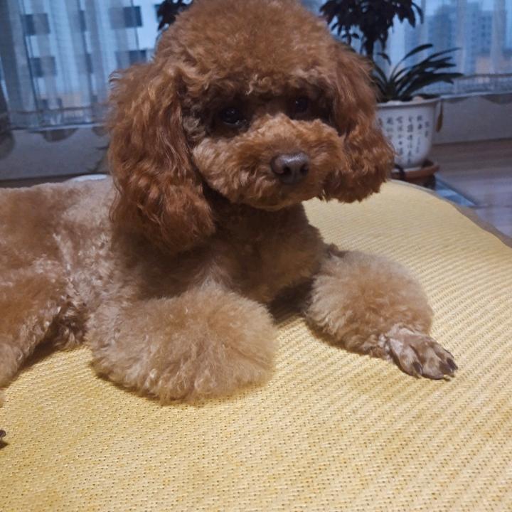王励志😎