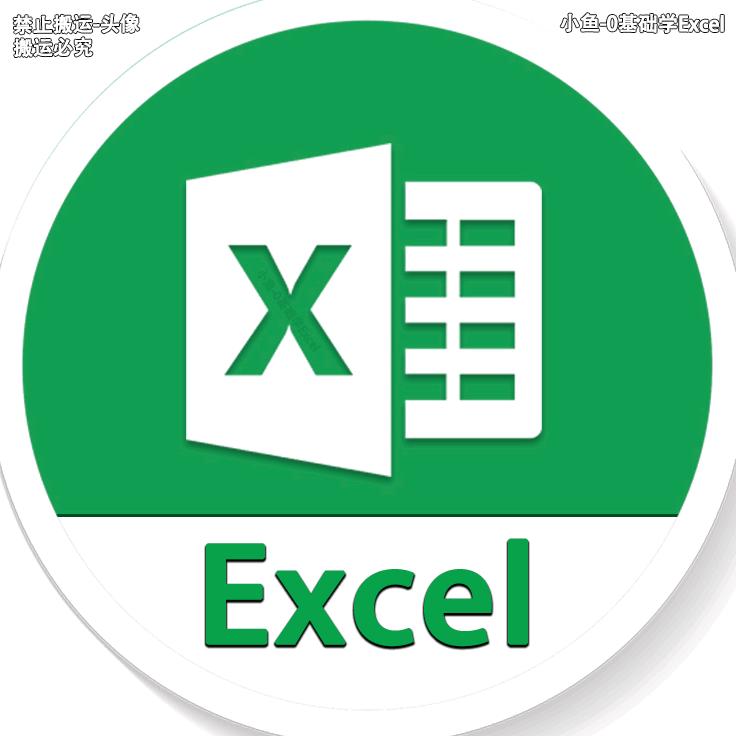 小鱼-0基础学Excel