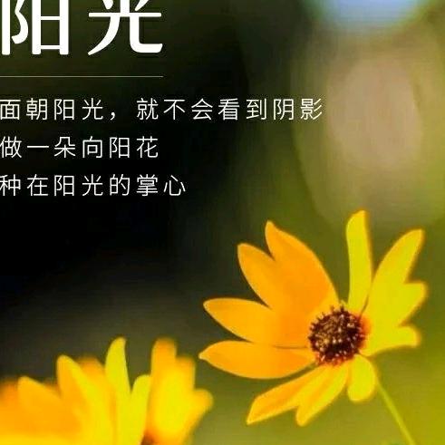 夕阳光