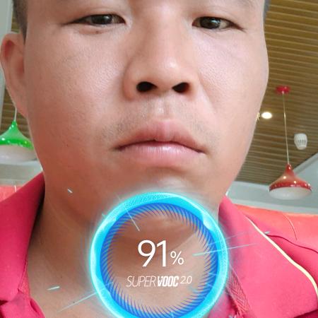 杨杨杨