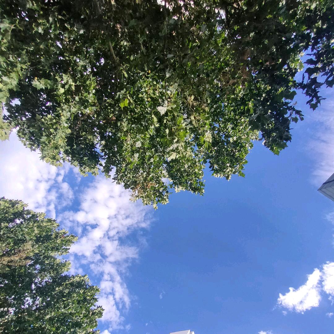 河北高校君