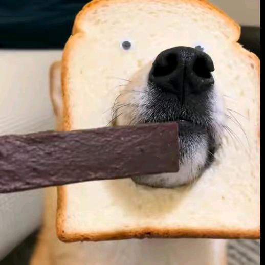 我吃饱的时候不饿