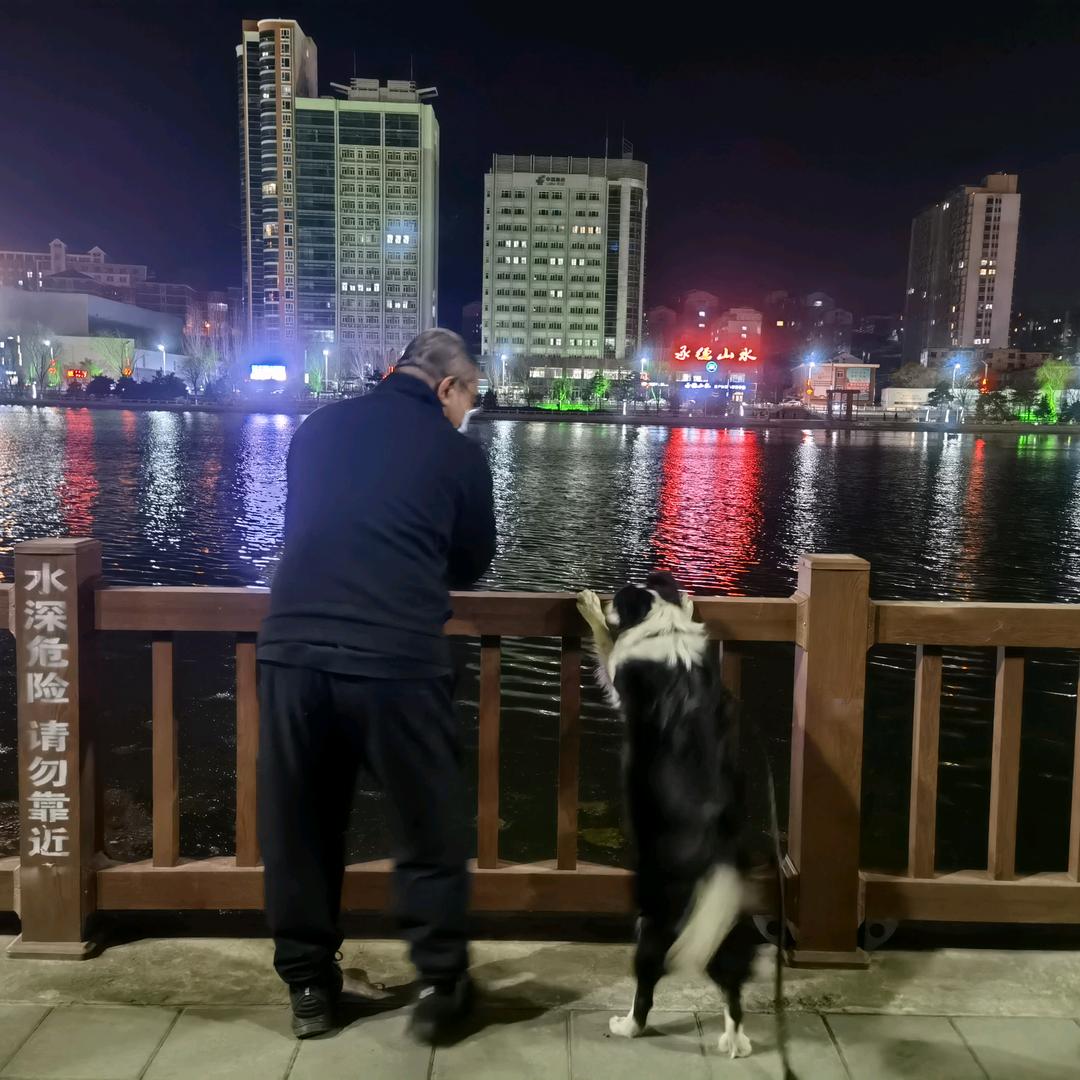 篮锅先生和边牧布丁