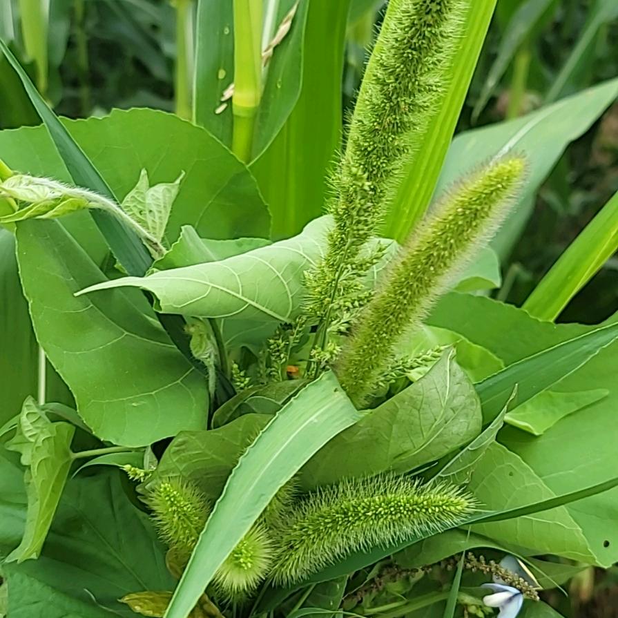 用户951706，乔海燕