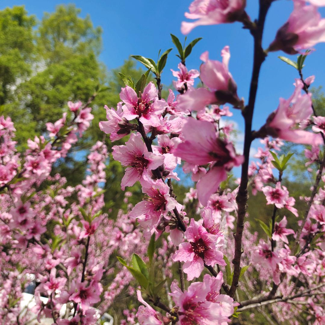 ღ᭄ꦿ°谢এ⁵²º᭄এ