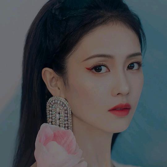 丽雪芬其