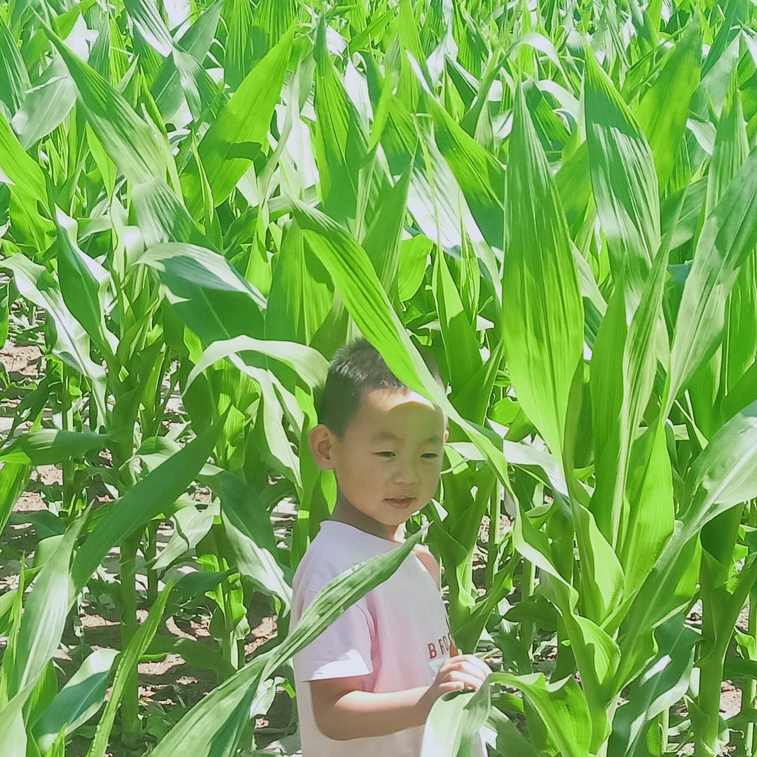 人生路