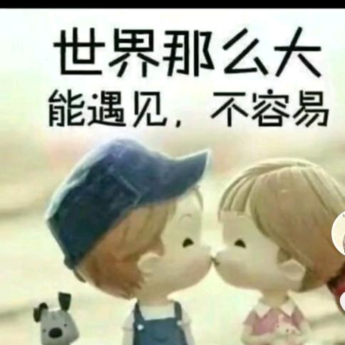 晨露
