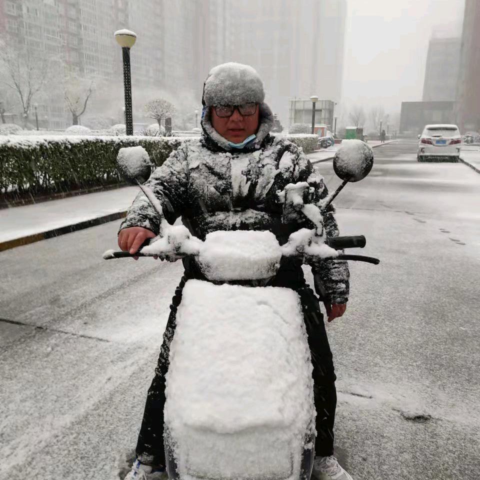 路子31