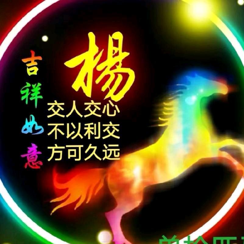 单枪匹马ʸᵍʰ