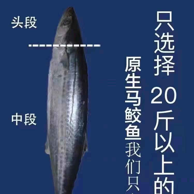 海南岛主