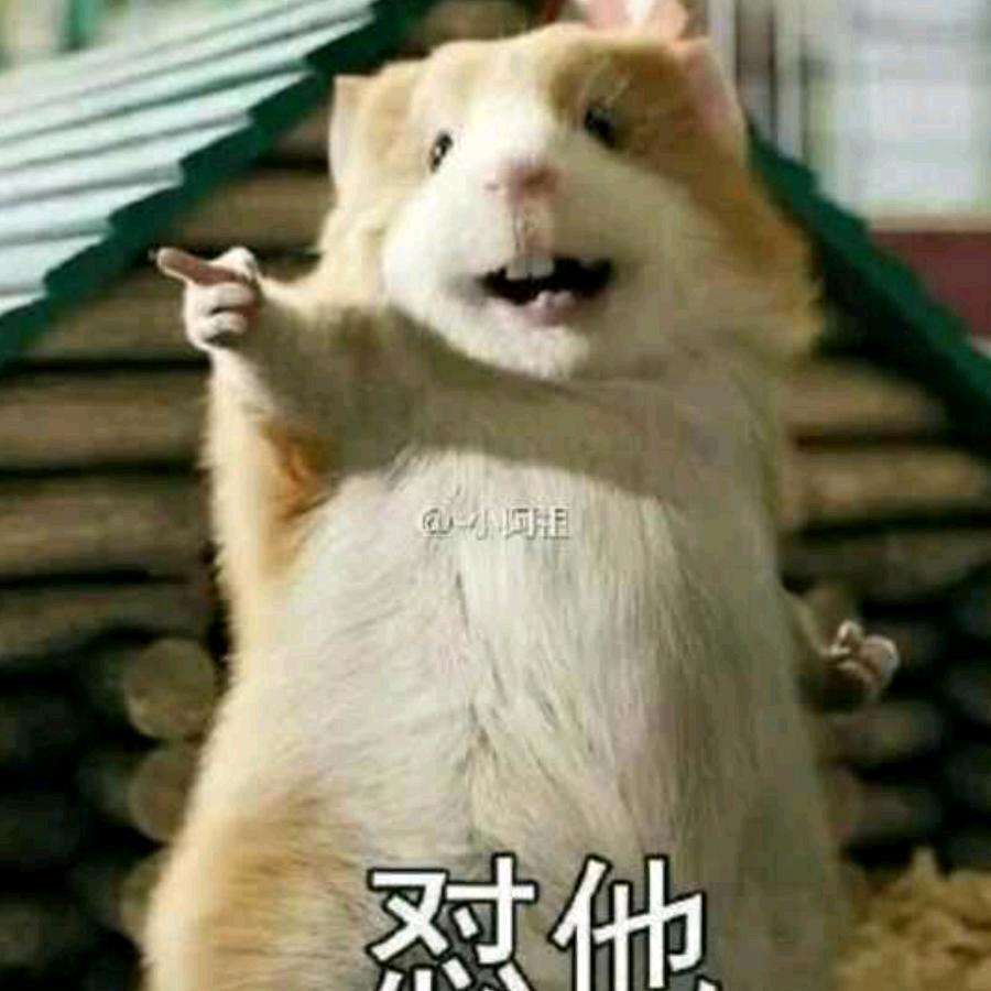 了1昂梁