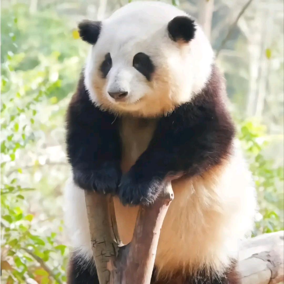 ໑ຼₒ₂5ღ᭄丫头🕊꧔ꦿ᭄💞