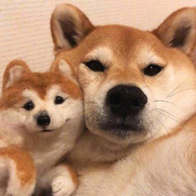 杨老九