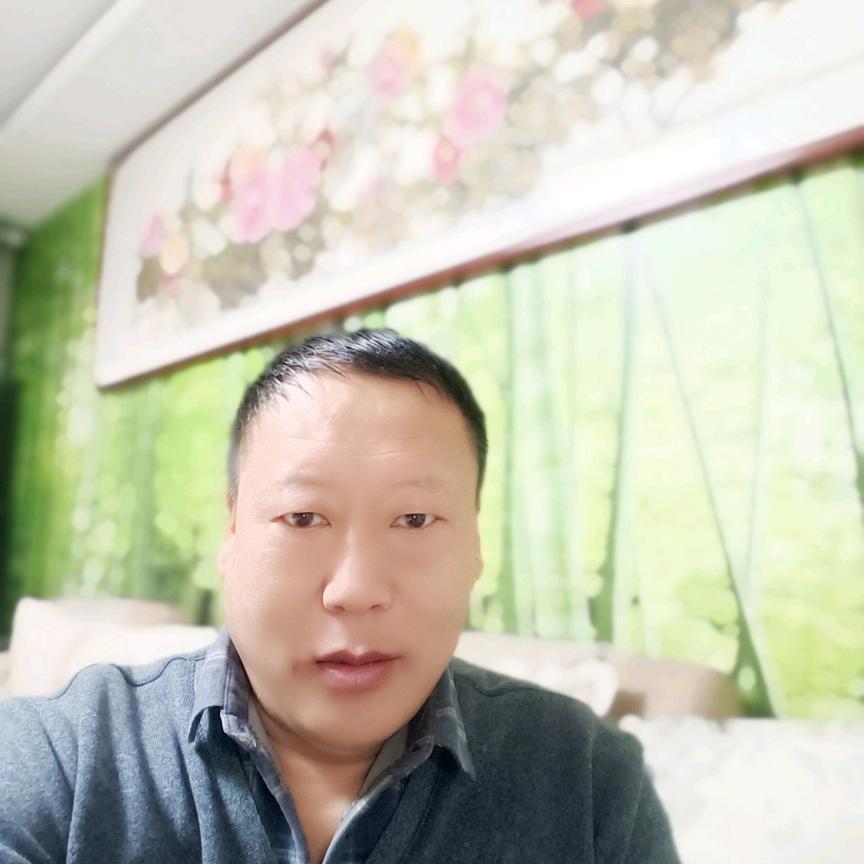 李传军精品小鹿犬养殖场