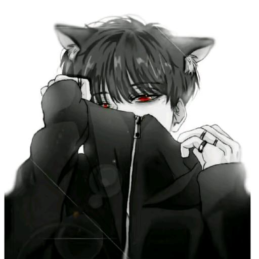 一束晚风