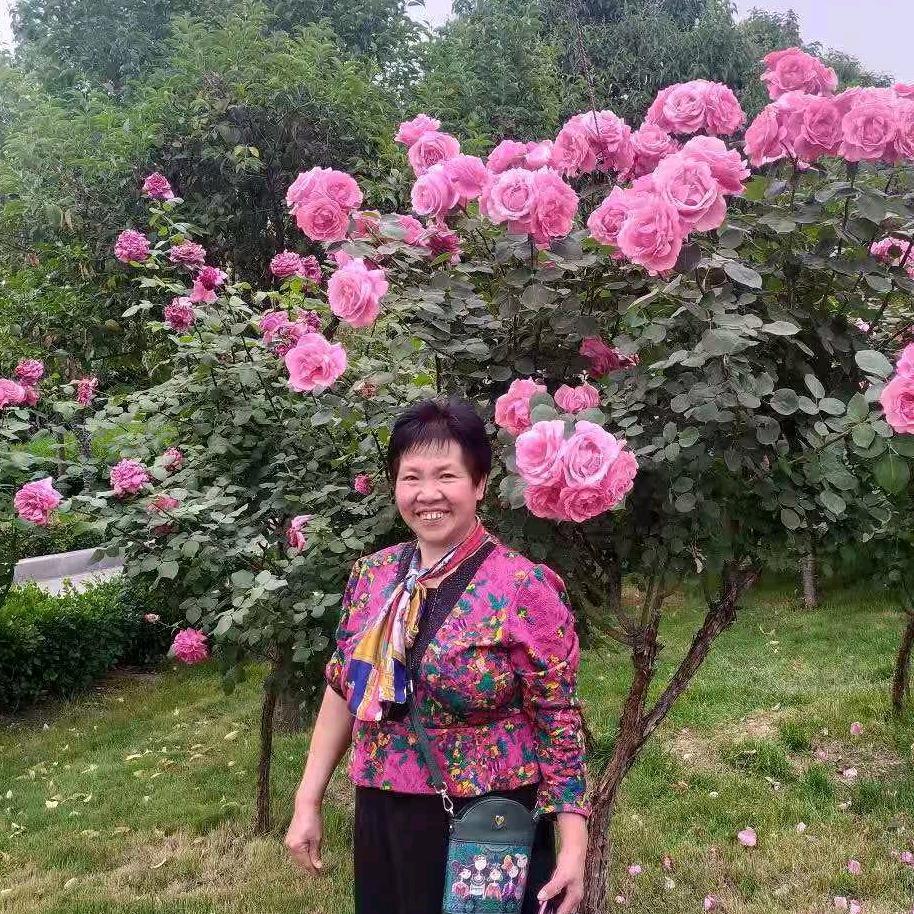 英语语法张老师