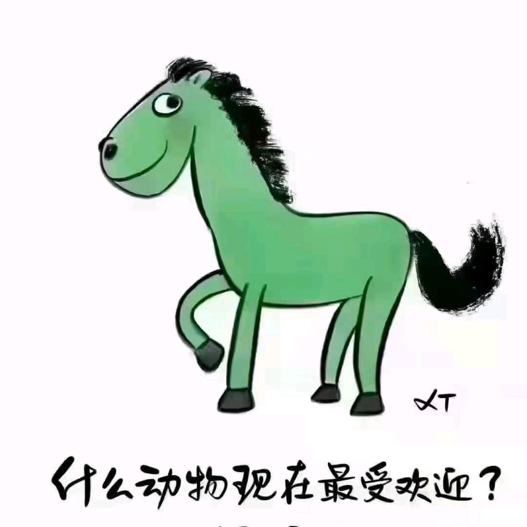 双飞马新会陈皮