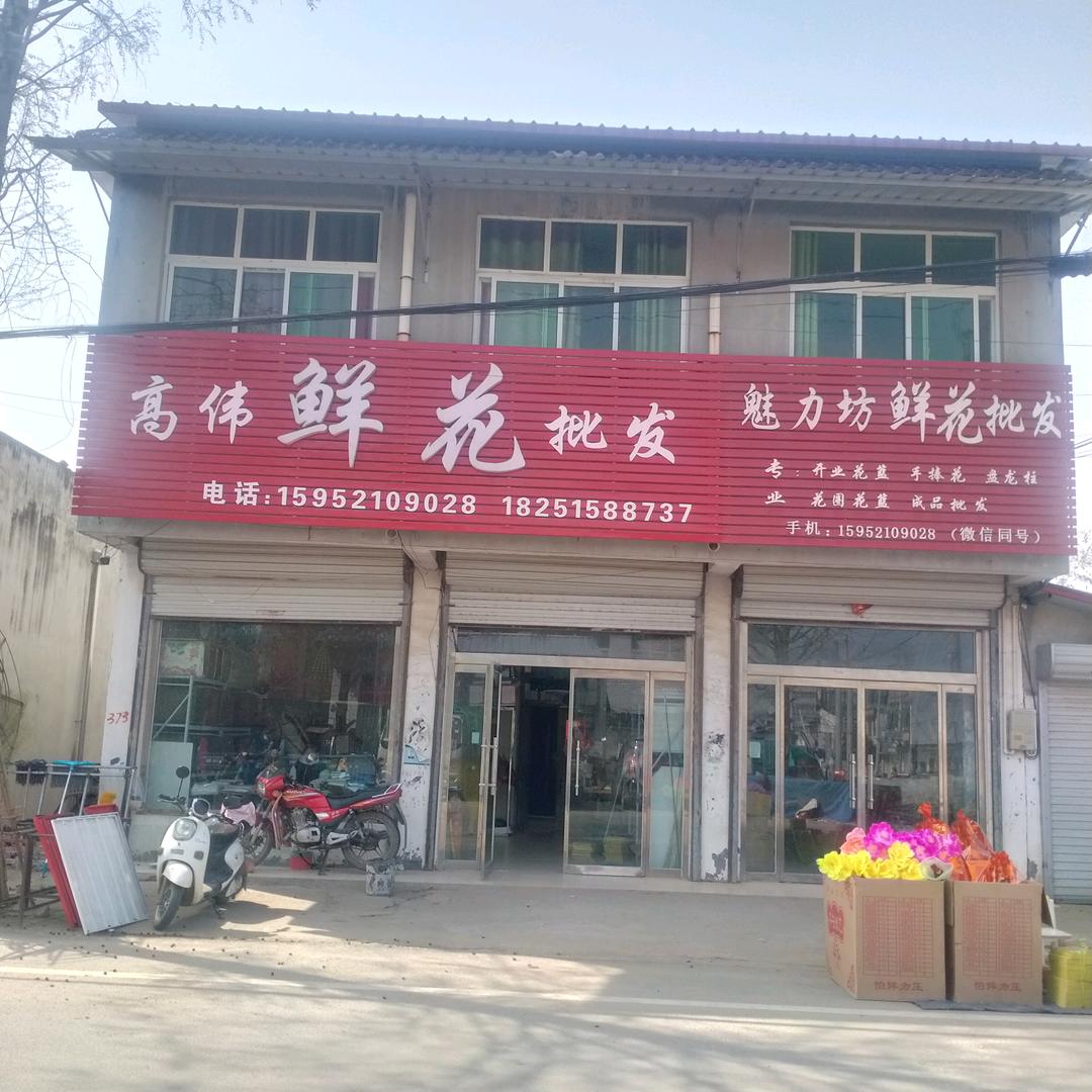 泇口 白霜 鲜花 站飘 拱门