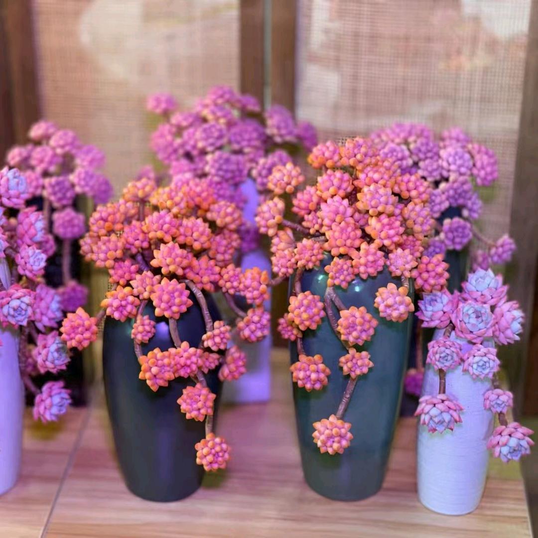 广州鸿源园林绿化有限公司