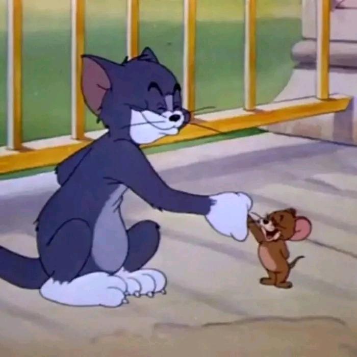 🌈🌈小崔🌈🌈