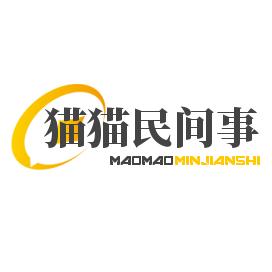 猫猫