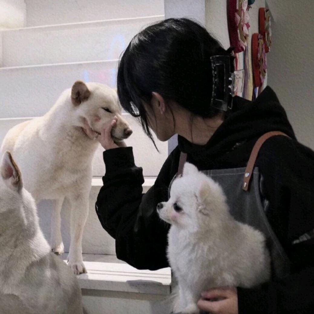 @老实人