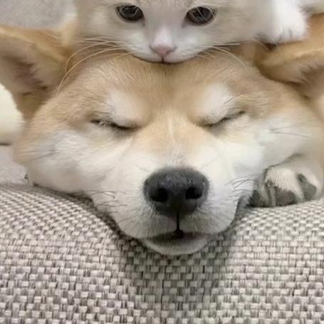 ~~~~